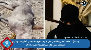 رسميًا.. فتاة شمرية تقضي على ذئب حاول افتراس شقيقها وشيخ قبيلتها يثني على شجاعتها ببغداد 2024